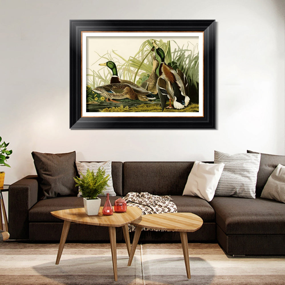 INVIN ART Framed Canvas Art Giclee Print Mallard_Duck by John James Audubon  Home Office Wall Art Decorations