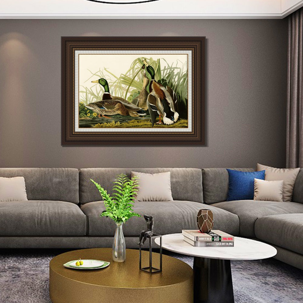 INVIN ART Framed Canvas Art Giclee Print Mallard_Duck by John James Audubon  Home Office Wall Art Decorations