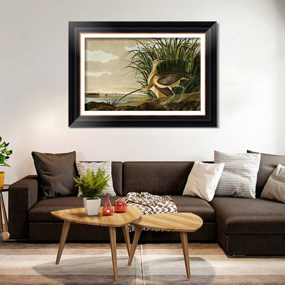 INVIN ART Framed Canvas Art Giclee Print Long Billed Curlew by John James Audubon Wall Room Home Office Art Living Decorations