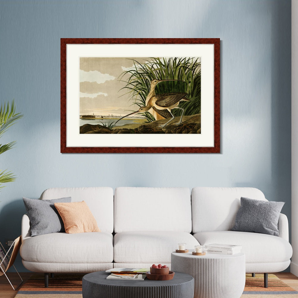 INVIN ART Framed Canvas Art Giclee Print Long Billed Curlew by John James Audubon Wall Room Home Office Art Living Decorations