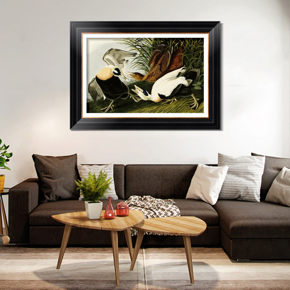 INVIN ART Framed Canvas Art Giclee Print Eider Duck by John James Audubon  Home Office Wall Art Decorations