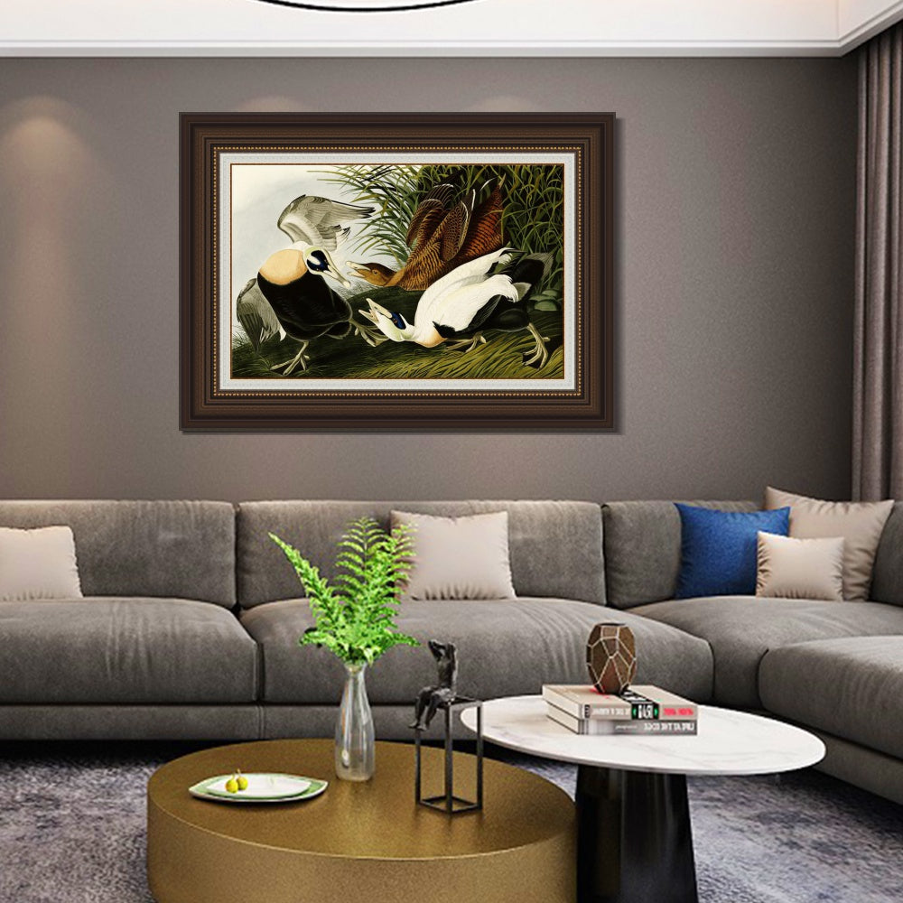 INVIN ART Framed Canvas Art Giclee Print Eider Duck by John James Audubon  Home Office Wall Art Decorations