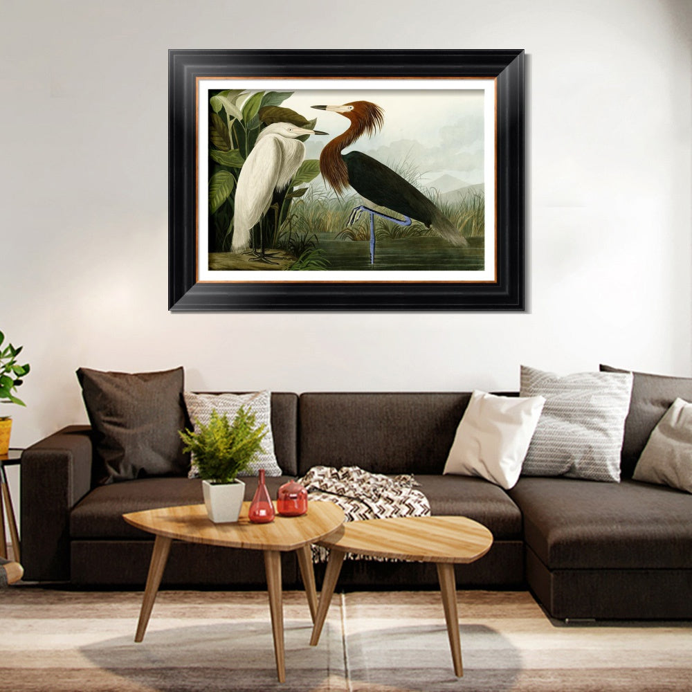 INVIN ART Framed Canvas Art Giclee Print Eider Duck by John James Audubon Wall Art