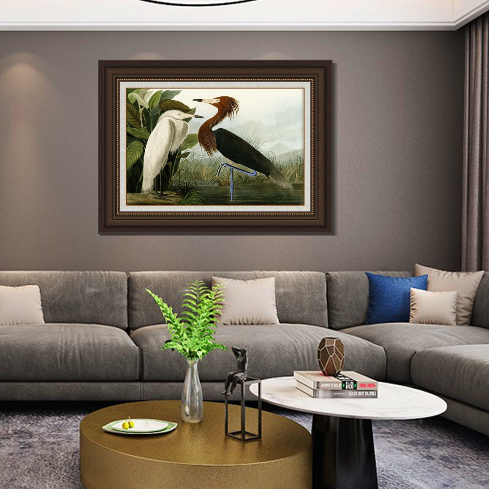 INVIN ART Framed Canvas Art Giclee Print Eider Duck by John James Audubon Wall Art