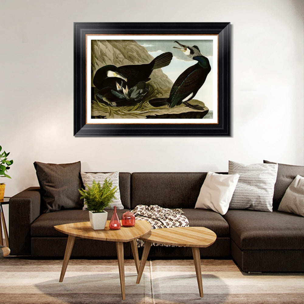 INVIN ART Framed Canvas Art Giclee Print Common Cormorant by John James Audubon  Home Office Wall Art Decorations