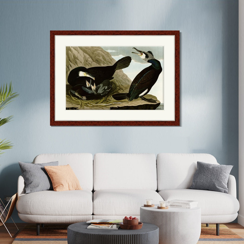 INVIN ART Framed Canvas Art Giclee Print Common Cormorant by John James Audubon  Home Office Wall Art Decorations