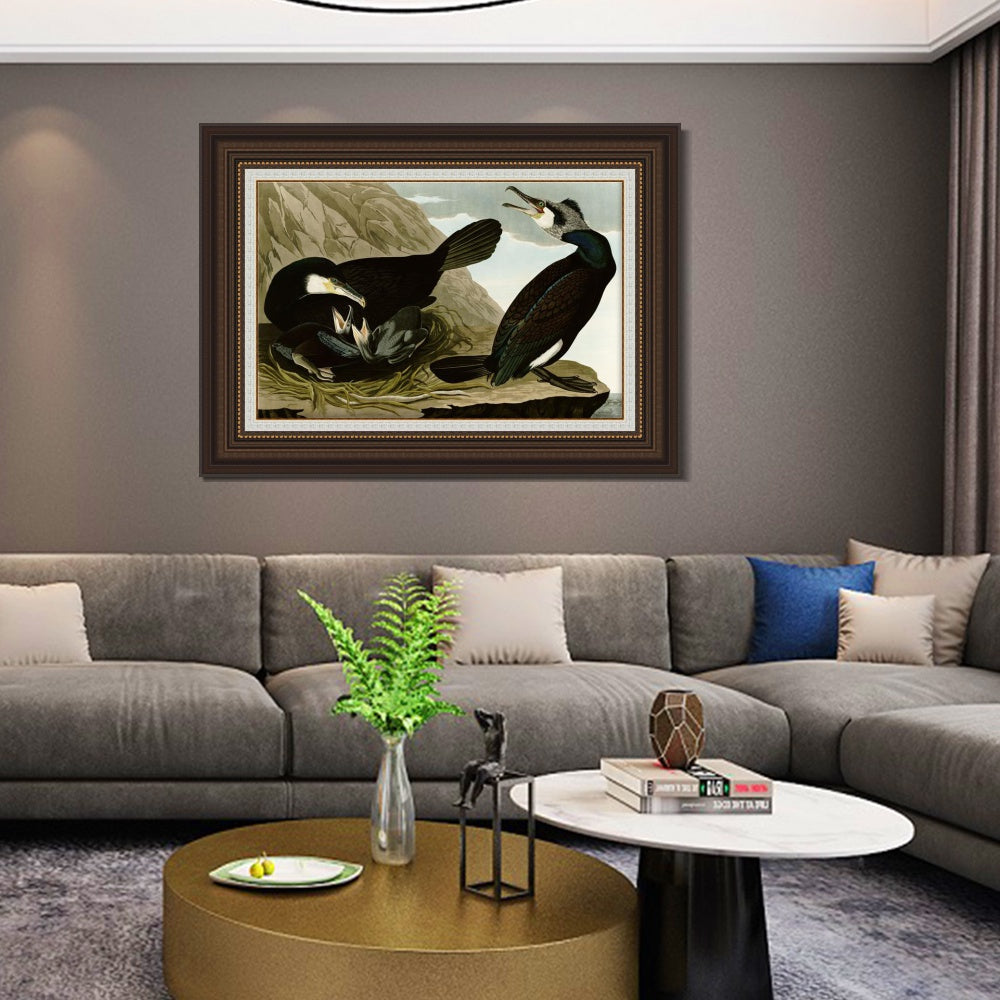 INVIN ART Framed Canvas Art Giclee Print Common Cormorant by John James Audubon  Home Office Wall Art Decorations