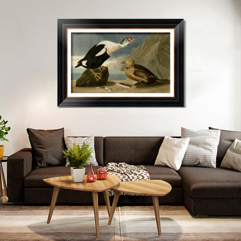INVIN ART Framed Canvas Art Giclee Print King Duck by John James Audubon  Home Office Wall Art Decorations