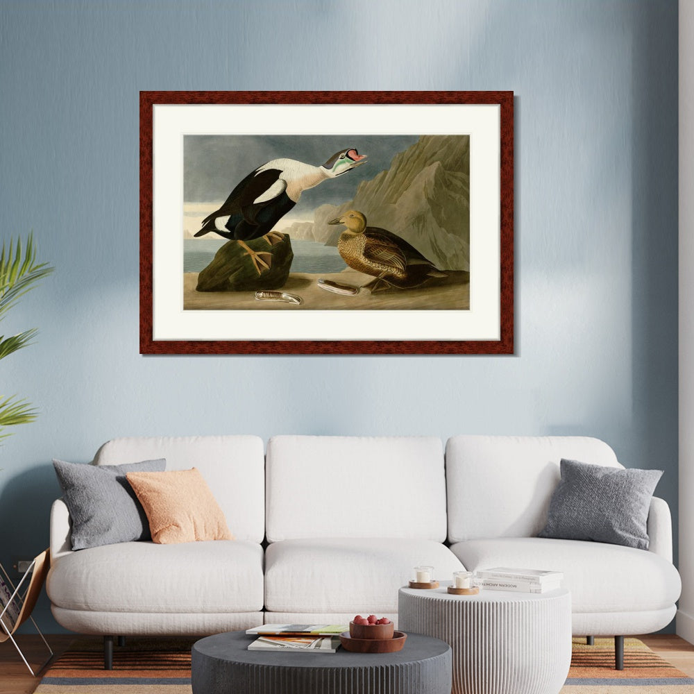 INVIN ART Framed Canvas Art Giclee Print King Duck by John James Audubon  Home Office Wall Art Decorations