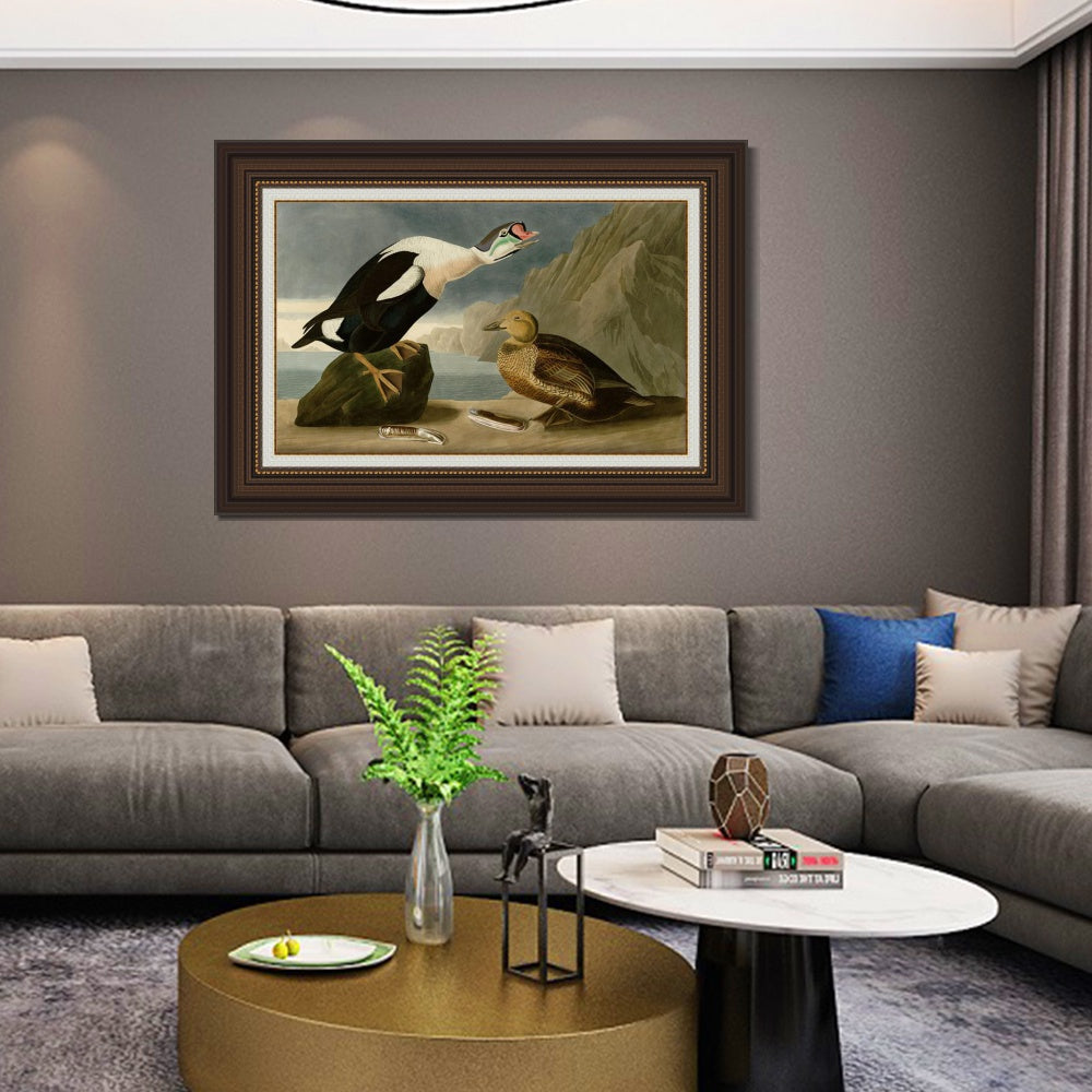 INVIN ART Framed Canvas Art Giclee Print King Duck by John James Audubon  Home Office Wall Art Decorations