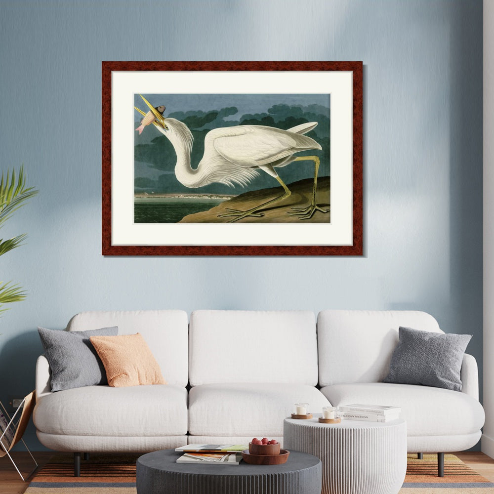 INVIN ART Framed Canvas Art Giclee Print Great White Heron by John James Audubon  Home Office Wall Art Decorations
