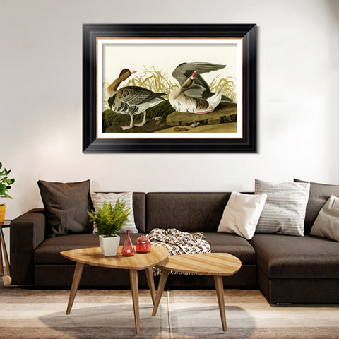 INVIN ART Framed Canvas Art Giclee Print White Fronted Goose by John James Audubon Living Room Home Office Wall Art Decorations