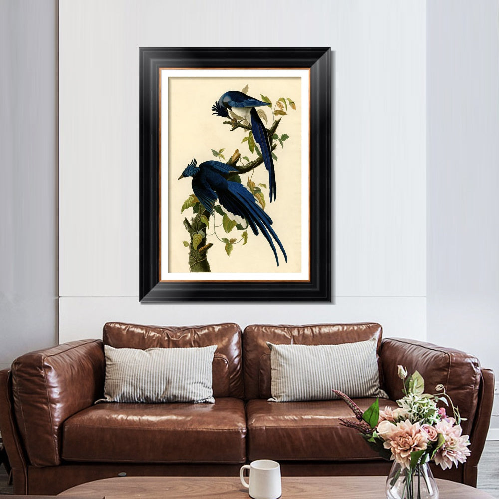 INVIN ART Framed Canvas Art Giclee Print Columbia Jay by John James Audubon  Home Office Wall Art Decorations