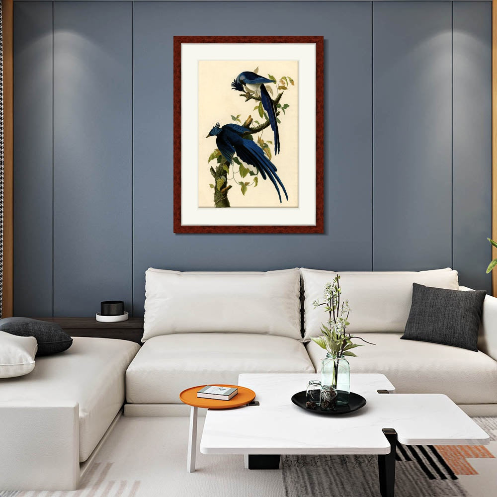 INVIN ART Framed Canvas Art Giclee Print Columbia Jay by John James Audubon  Home Office Wall Art Decorations