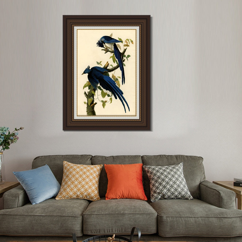 INVIN ART Framed Canvas Art Giclee Print Columbia Jay by John James Audubon  Home Office Wall Art Decorations