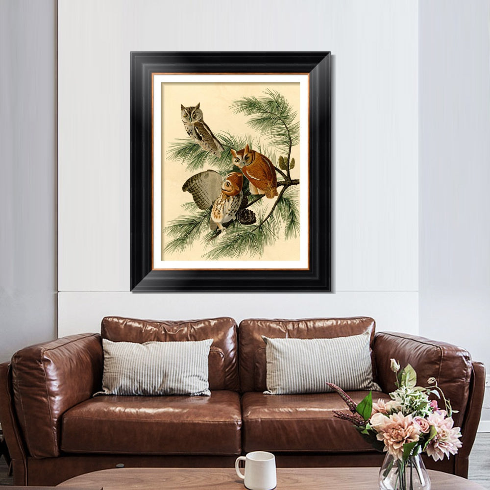 INVIN ART Framed Canvas Art Giclee Print Little Screech Owl by John James Audubon  Home Office Wall Art Decorations
