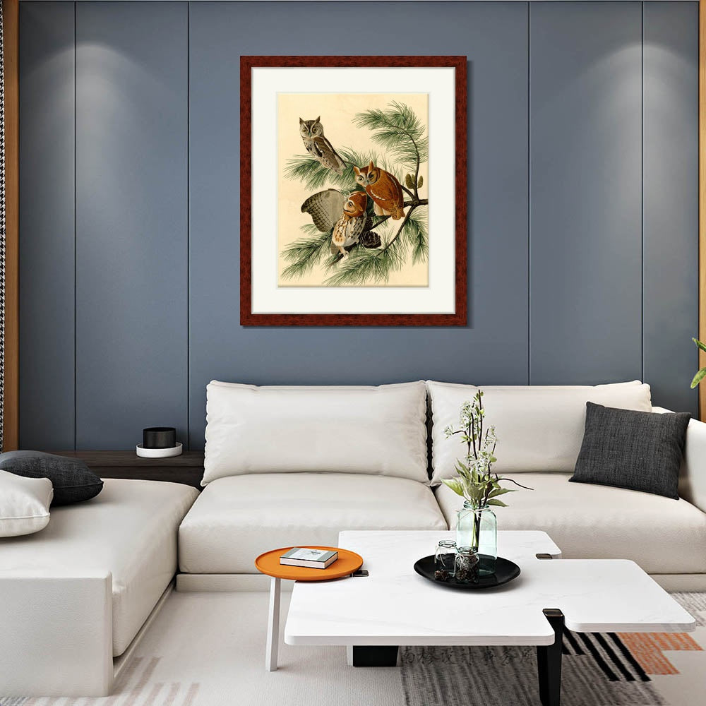 INVIN ART Framed Canvas Art Giclee Print Little Screech Owl by John James Audubon  Home Office Wall Art Decorations