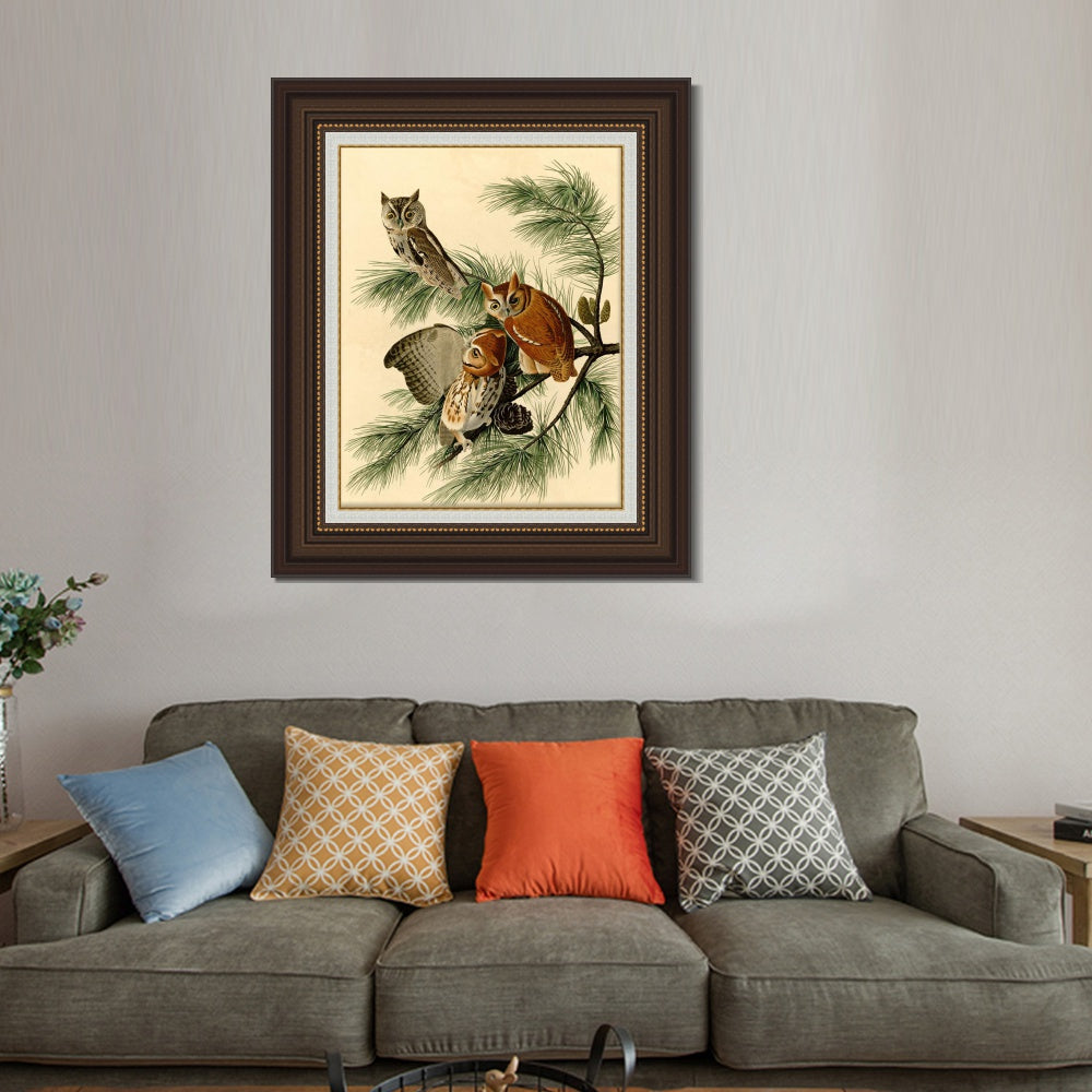 INVIN ART Framed Canvas Art Giclee Print Little Screech Owl by John James Audubon  Home Office Wall Art Decorations