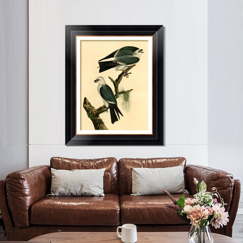 INVIN ART Framed Canvas Art Giclee Print Mississippi Kite by John James Audubon Living Room Home Office Wall Art Decorations