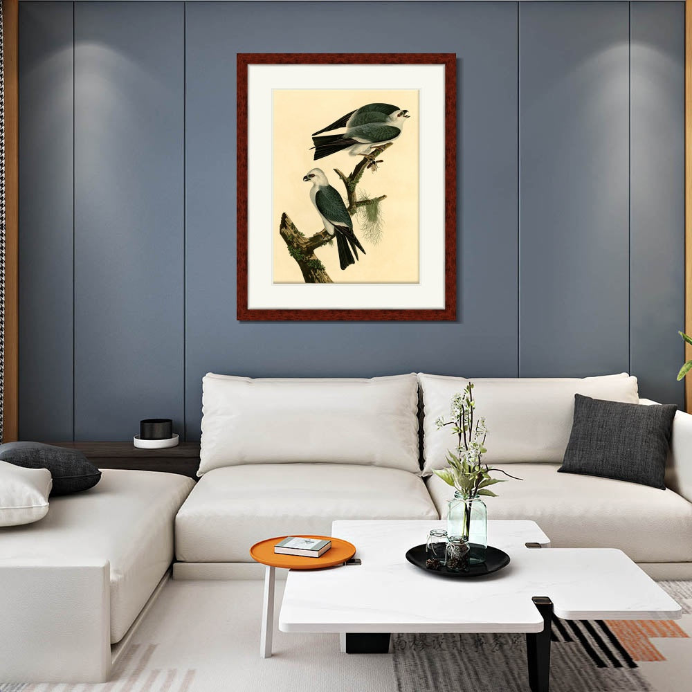 INVIN ART Framed Canvas Art Giclee Print Mississippi Kite by John James Audubon Living Room Home Office Wall Art Decorations