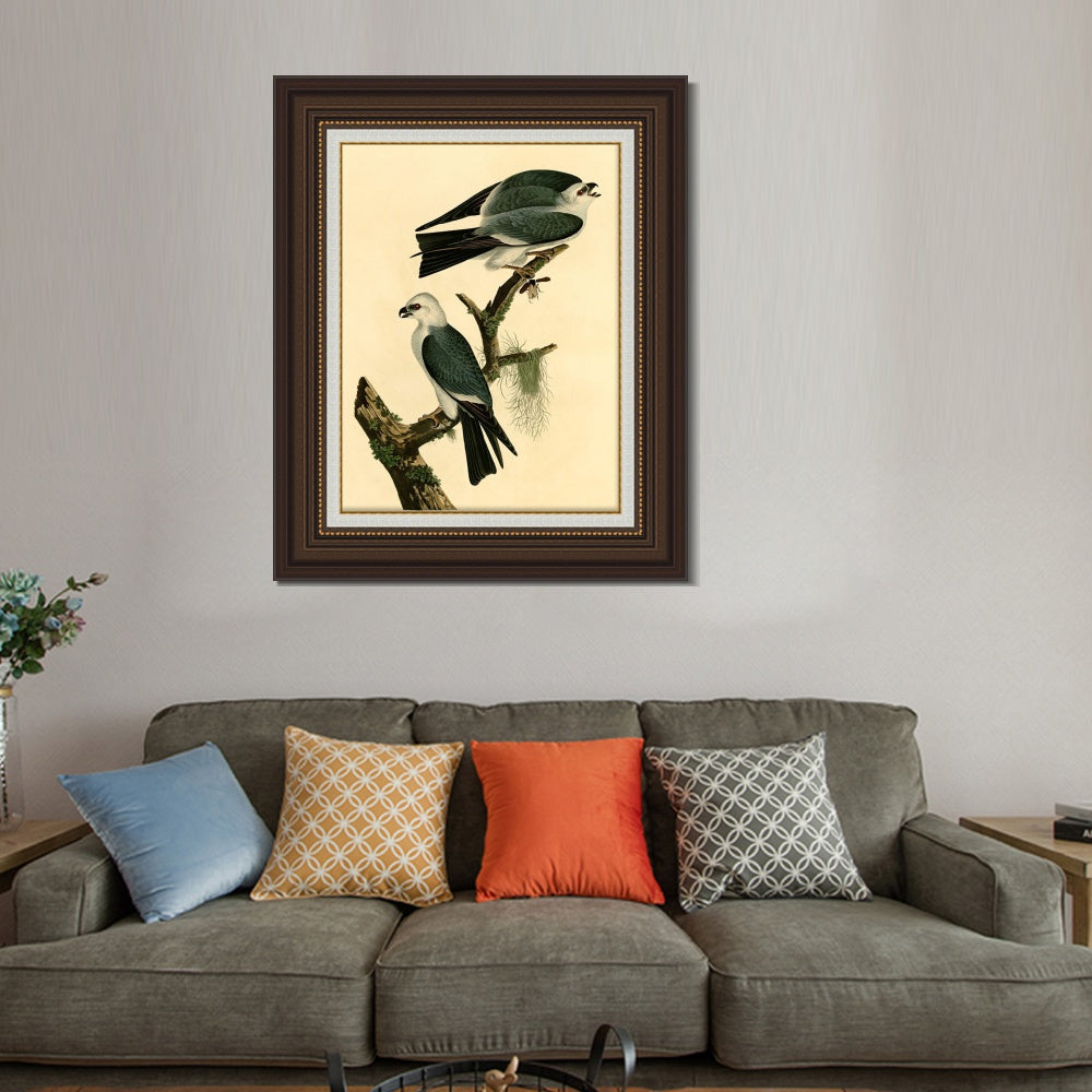 INVIN ART Framed Canvas Art Giclee Print Mississippi Kite by John James Audubon Living Room Home Office Wall Art Decorations
