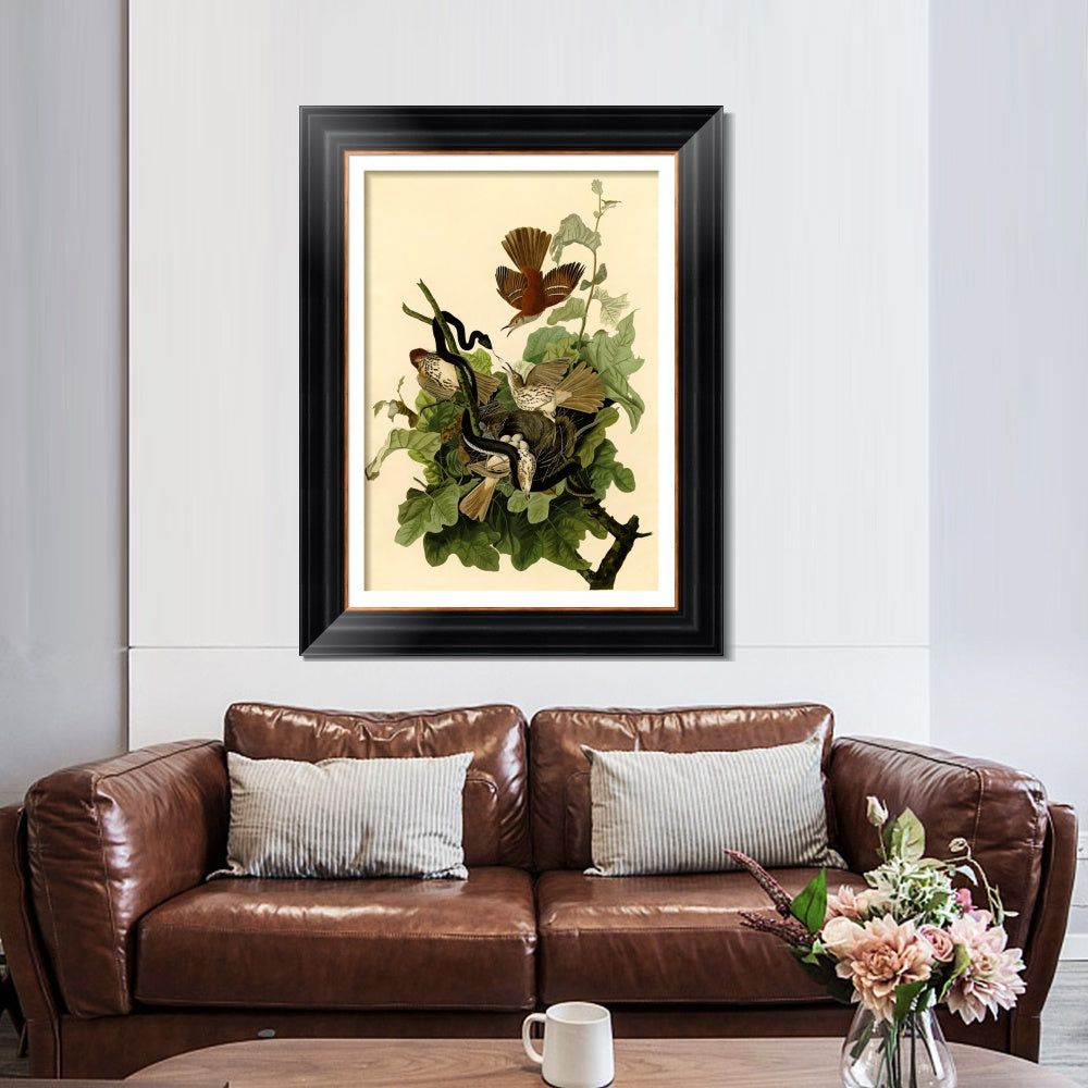 INVIN ART Framed Canvas Art Giclee Print Mississippi Kite by John James Audubon Wall Art