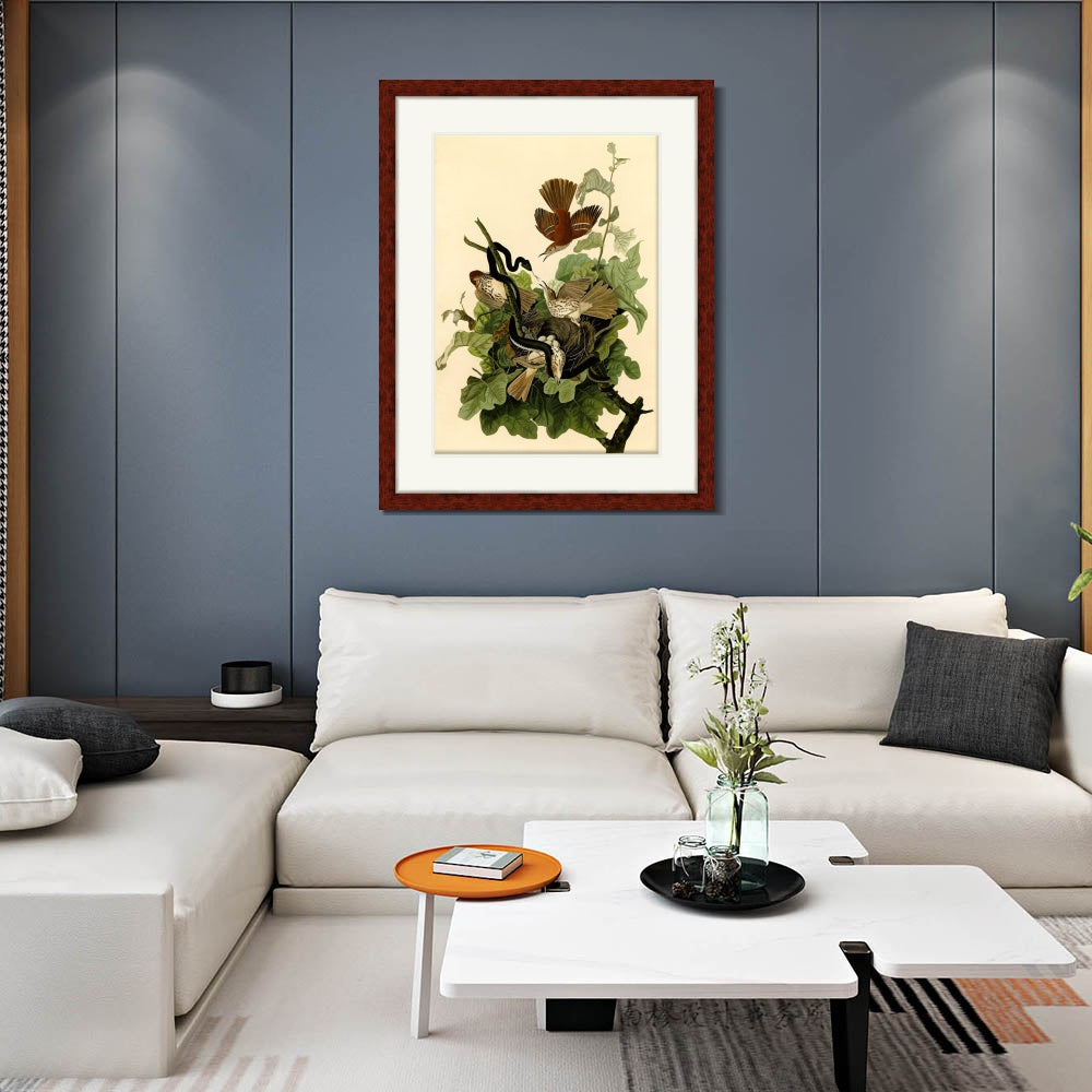 INVIN ART Framed Canvas Art Giclee Print Mississippi Kite by John James Audubon Wall Art