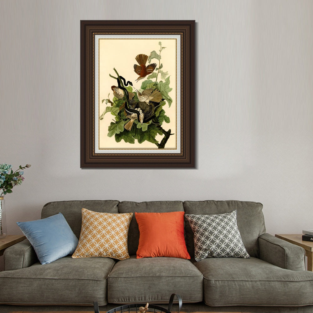 INVIN ART Framed Canvas Art Giclee Print Mississippi Kite by John James Audubon Wall Art