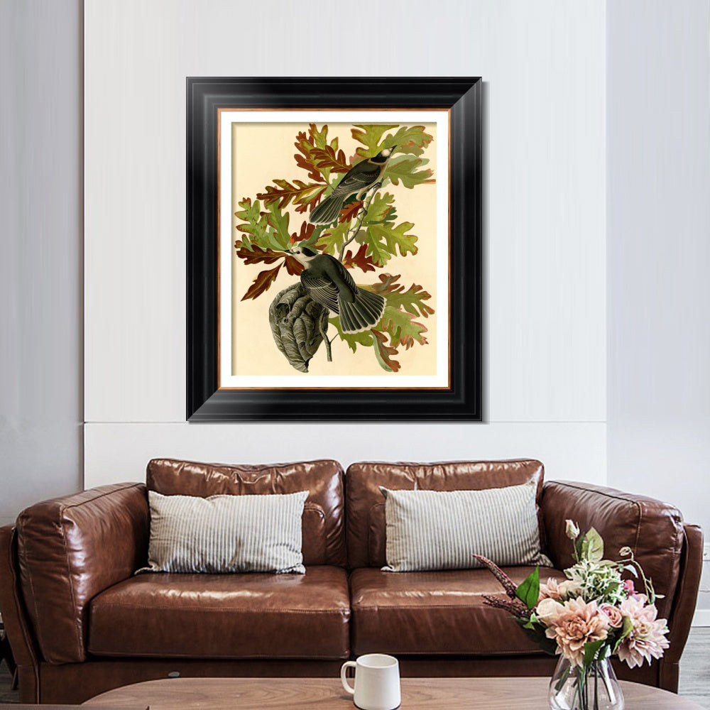 INVIN ART Framed Canvas Art Giclee Print Canada Jay by John James Audubon  Home Office Wall Art Decorations