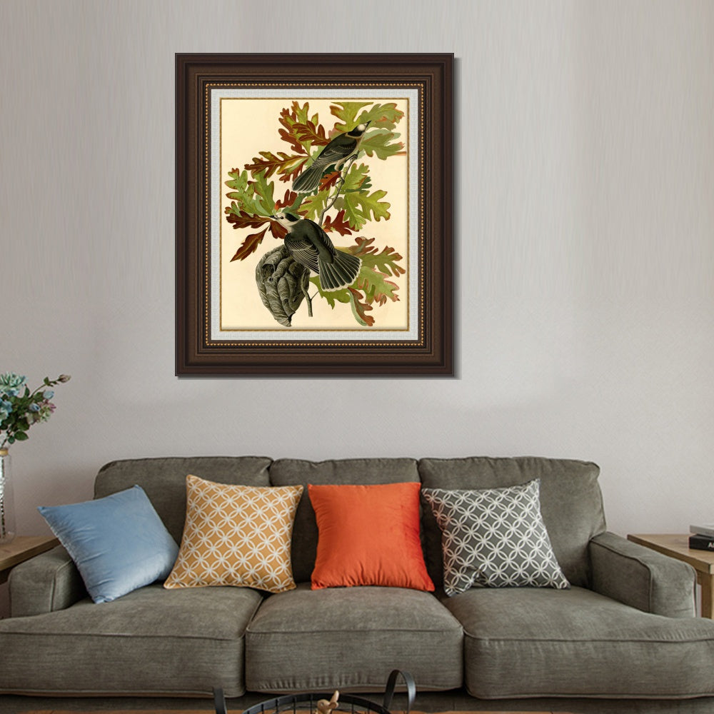 INVIN ART Framed Canvas Art Giclee Print Canada Jay by John James Audubon  Home Office Wall Art Decorations
