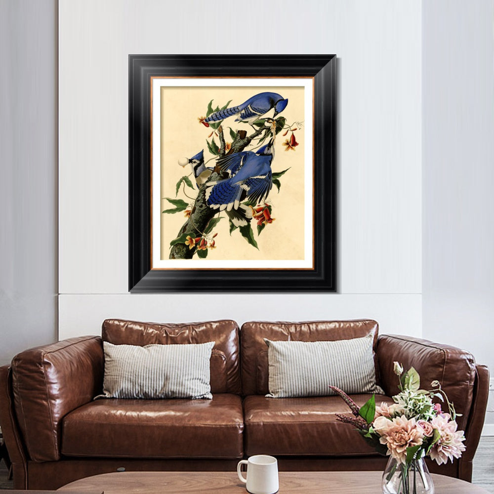 INVIN ART Framed Canvas Art Giclee Print Blue Jay by John James Audubon  Home Office Wall Art Decorations
