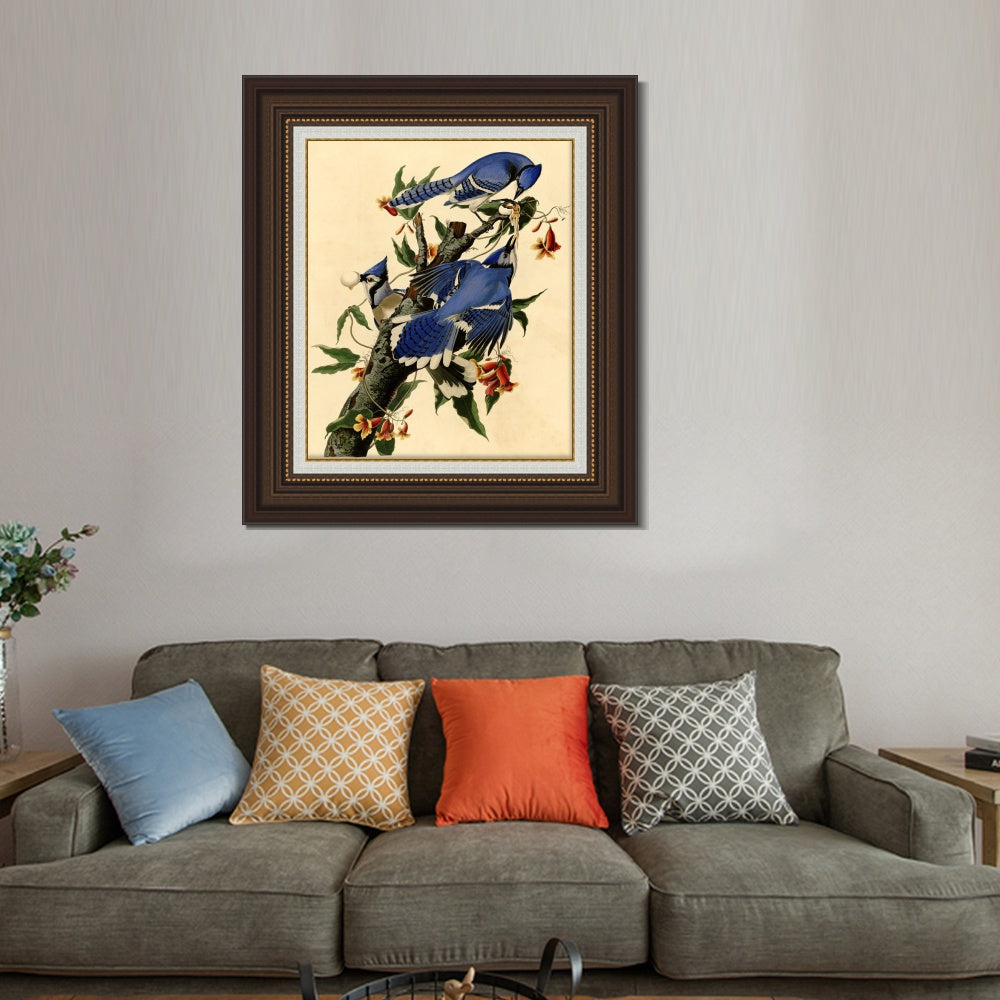 INVIN ART Framed Canvas Art Giclee Print Blue Jay by John James Audubon  Home Office Wall Art Decorations