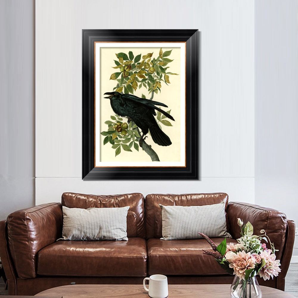 INVIN ART Framed Canvas Art Giclee Print Raven by John James Audubon  Home Office Wall Art Decorations