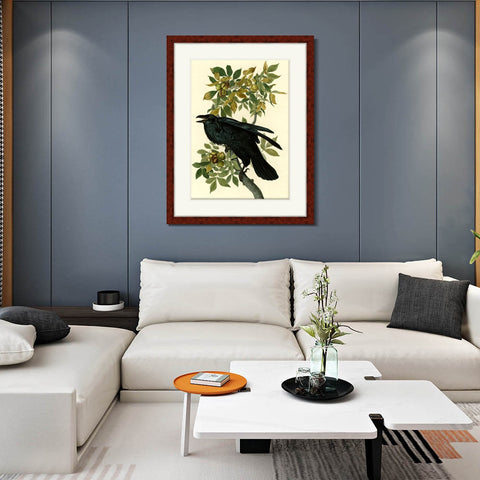 INVIN ART Framed Canvas Art Giclee Print Raven by John James Audubon Living Room Home Office Wall Art Decorations