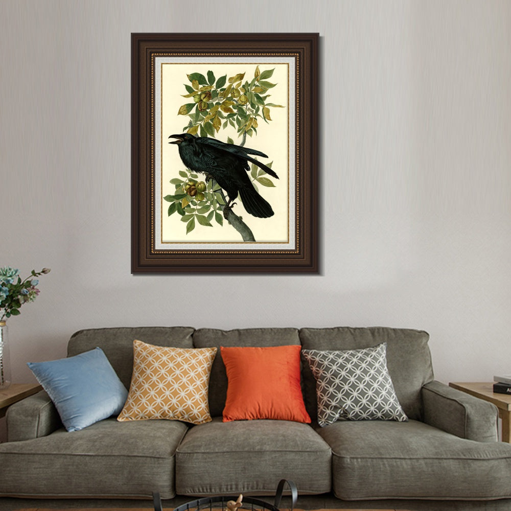 INVIN ART Framed Canvas Art Giclee Print Raven by John James Audubon  Home Office Wall Art Decorations