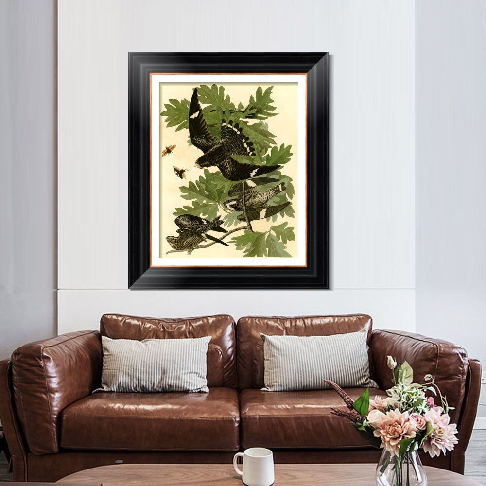 INVIN ART Framed Canvas Art Giclee Print Night Hawk by John James Audubon  Home Office Wall Art Decorations