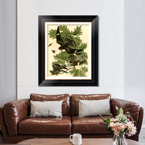INVIN ART Framed Canvas Art Giclee Print Night Hawk by John James Audubon Living Room Home Office Wall Art Decorations