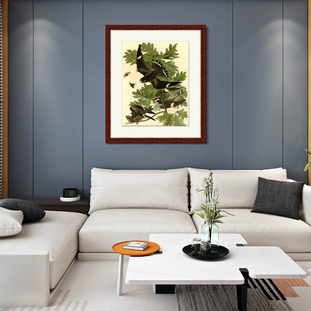 INVIN ART Framed Canvas Art Giclee Print Night Hawk by John James Audubon  Home Office Wall Art Decorations