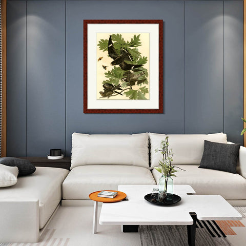 INVIN ART Framed Canvas Art Giclee Print Night Hawk by John James Audubon Living Room Home Office Wall Art Decorations