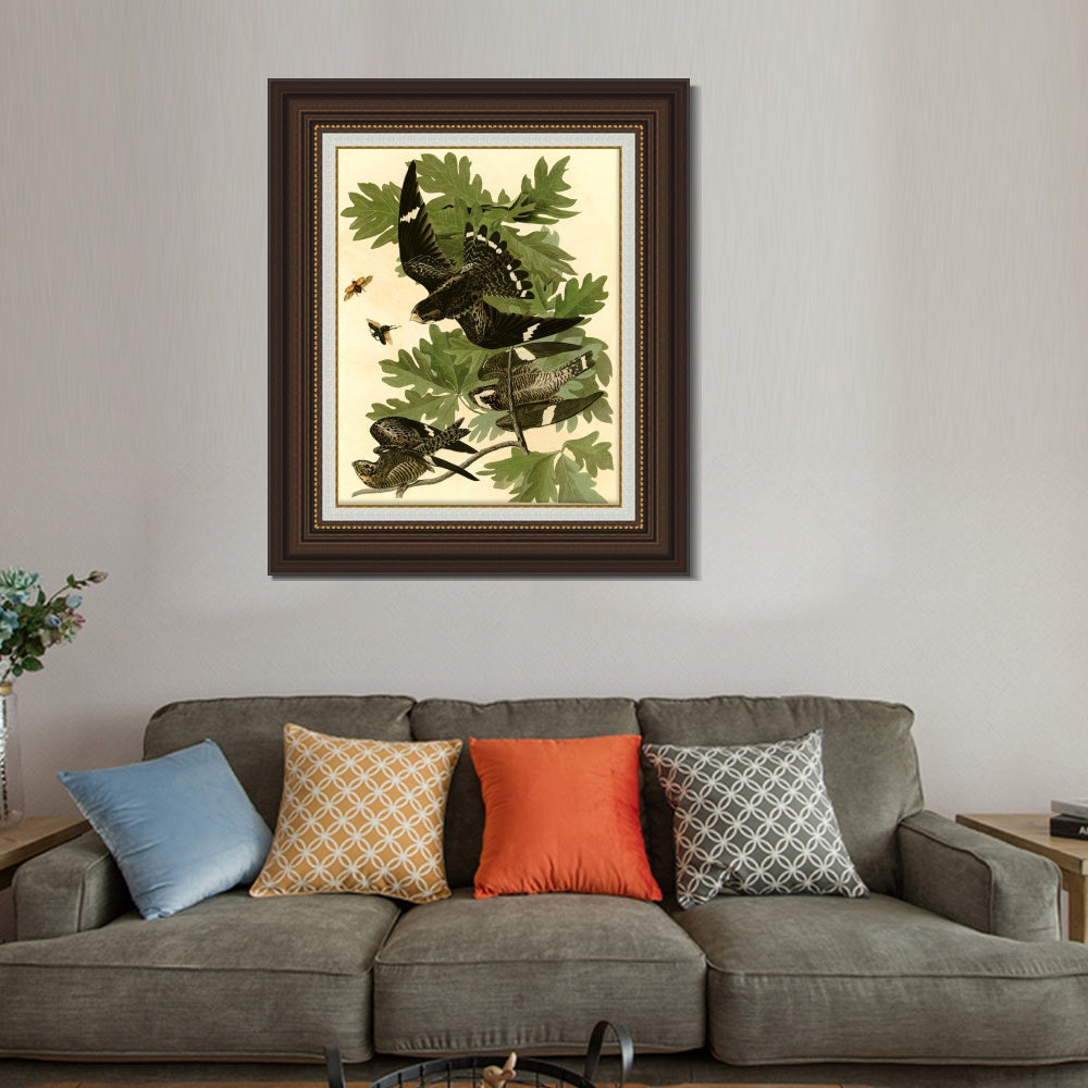 INVIN ART Framed Canvas Art Giclee Print Night Hawk by John James Audubon  Home Office Wall Art Decorations