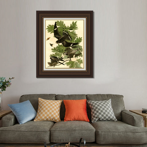 INVIN ART Framed Canvas Art Giclee Print Night Hawk by John James Audubon Living Room Home Office Wall Art Decorations