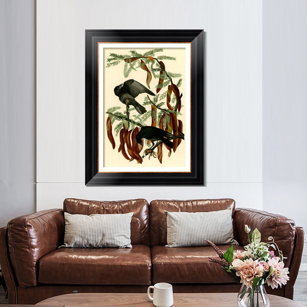 INVIN ART Framed Canvas Art Giclee Print Fish Crow by John James Audubon  Home Office Wall Art Decorations
