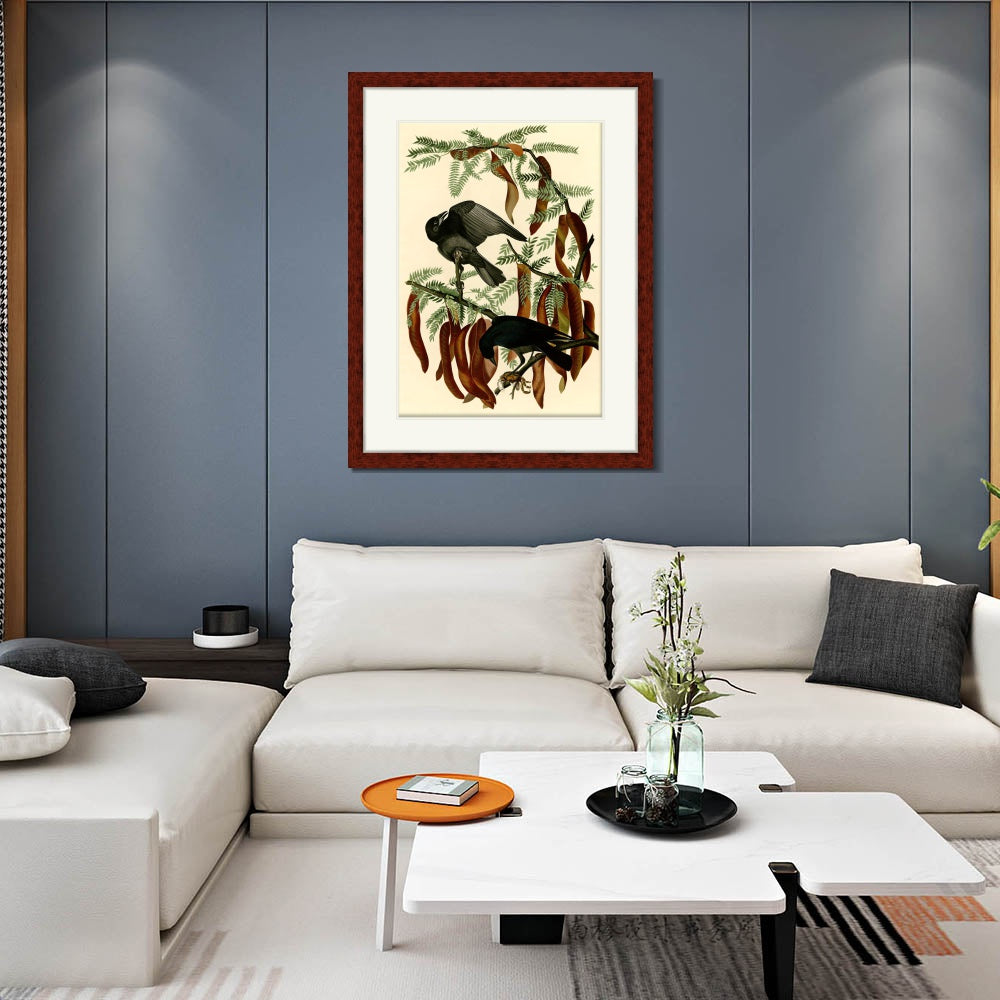 INVIN ART Framed Canvas Art Giclee Print Fish Crow by John James Audubon  Home Office Wall Art Decorations