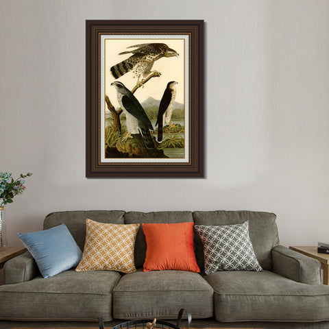 INVIN ART Framed Canvas Art Giclee Print Stanley Hawk by John James Audubon Living Room Home Office Wall Art Decorations