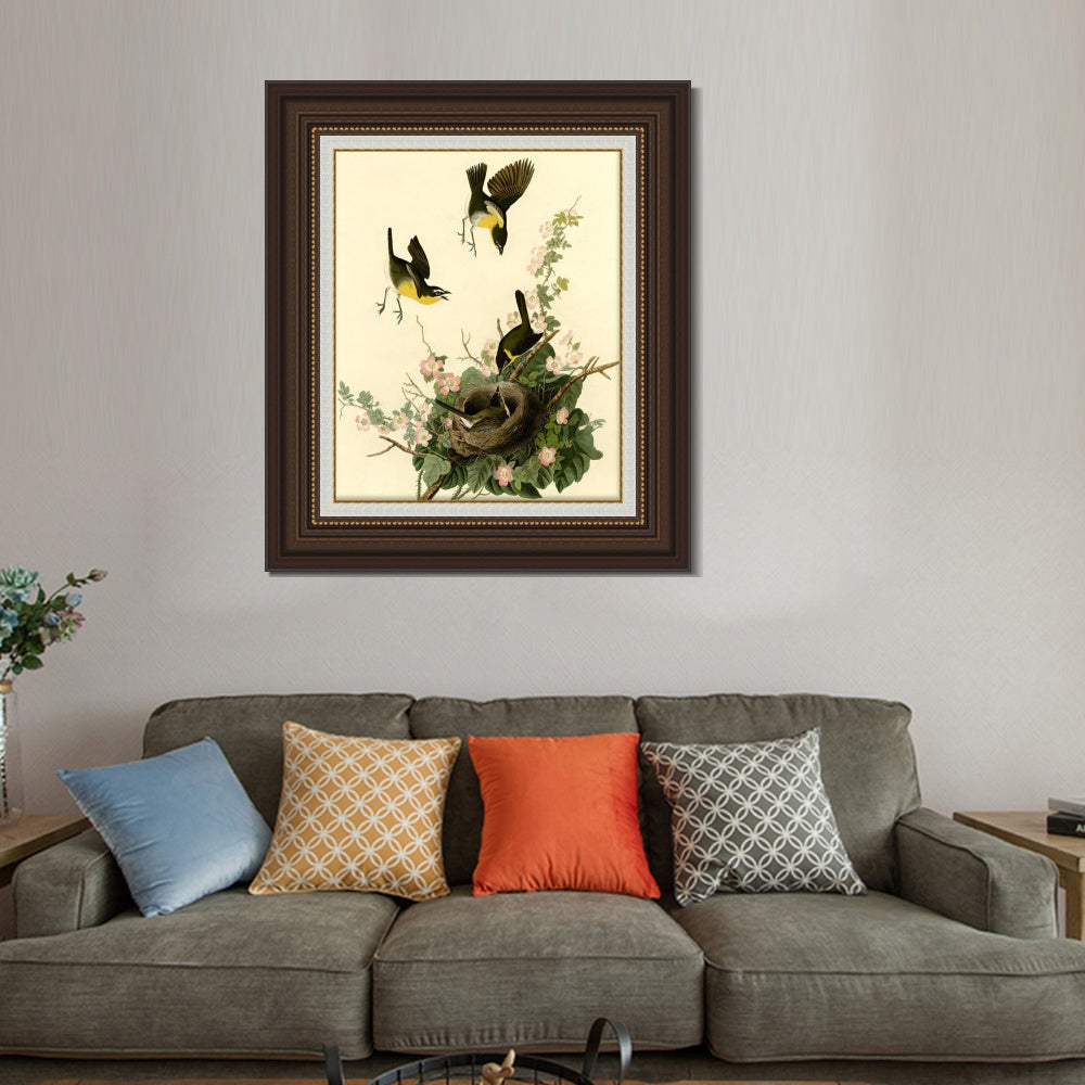 INVIN ART Framed Canvas Art Giclee Print Yellow Breasted Chat by John James Audubon  Home Office Wall Art Decorations