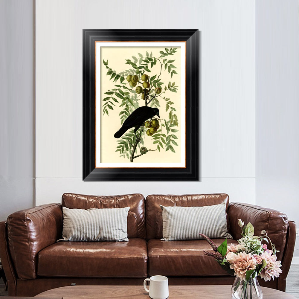 INVIN ART Framed Canvas Art Giclee Print American Crow by John James Audubon  Home Office Wall Art Decorations