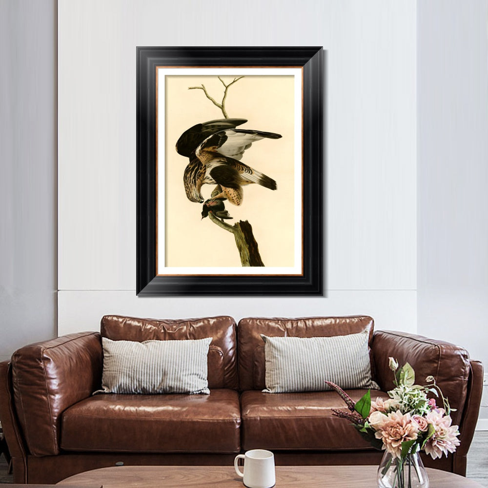 INVIN ART Framed Canvas Art Giclee Print Rough Legged Falcon by John James Audubon  Home Office Wall Art Decorations