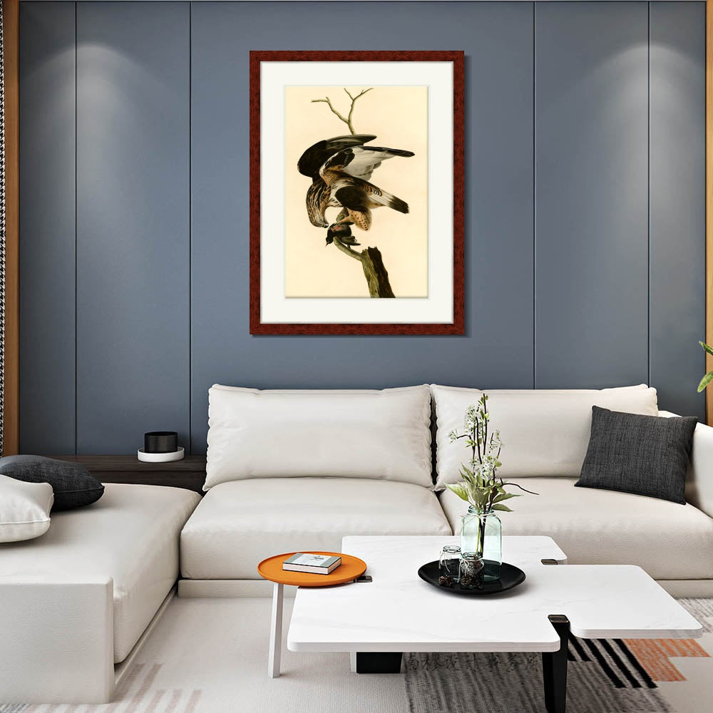 INVIN ART Framed Canvas Art Giclee Print Rough Legged Falcon by John James Audubon  Home Office Wall Art Decorations