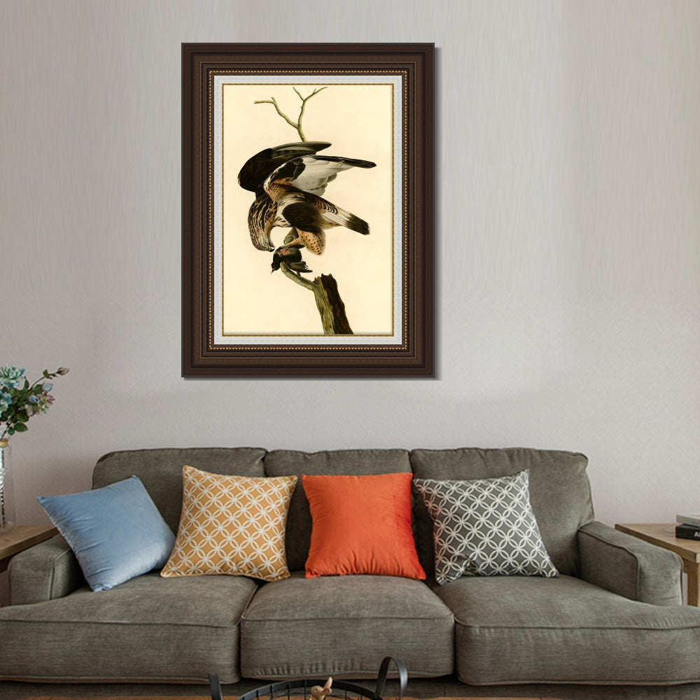 INVIN ART Framed Canvas Art Giclee Print Rough Legged Falcon by John James Audubon  Home Office Wall Art Decorations