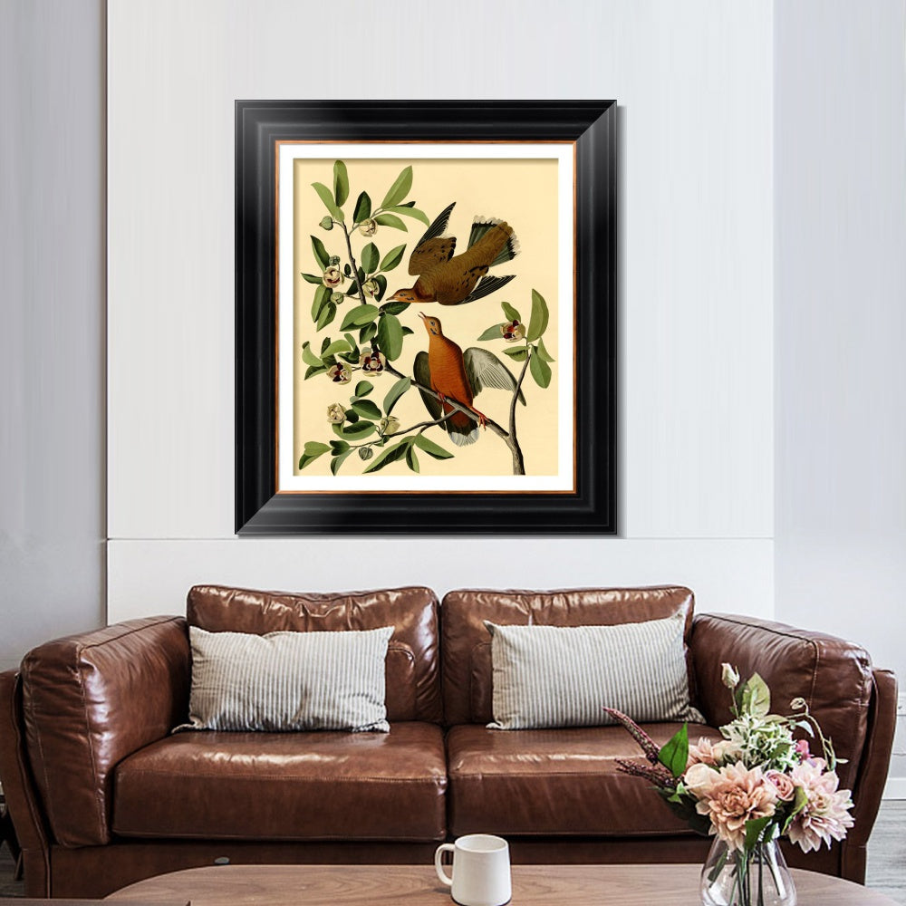 INVIN ART Framed Canvas Art Giclee Print Zenaida Dove by John James Audubon  Home Office Wall Art Decorations
